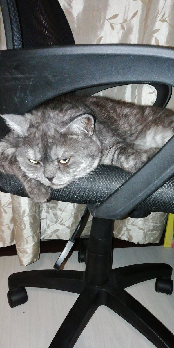 Вот такое же и у меня выражение лица в последнее время🤦‍♀️