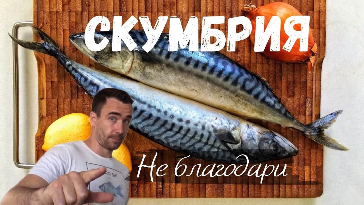 🐟Одна из самых вкусных рыб! Скумбрия👌😋 | Вероника Григорьева | Дзен