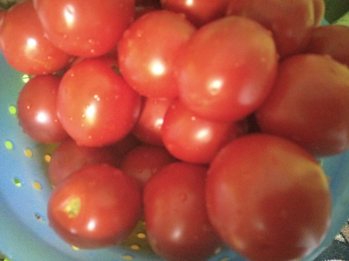 листаем картинки стрелочкой справа(галерея)