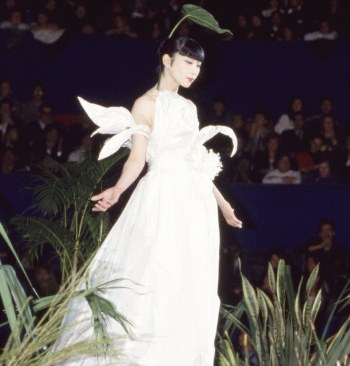 Kenzo