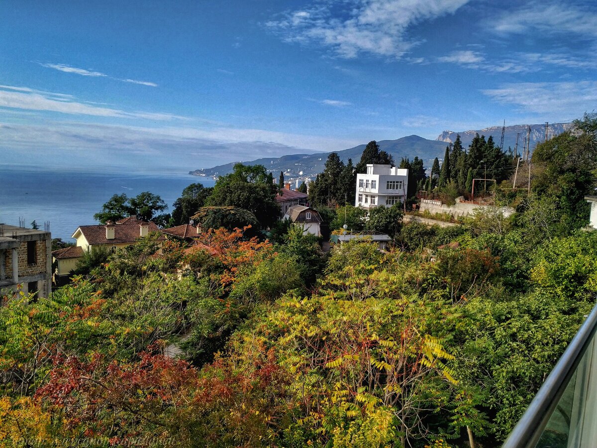 Вид из окна нашего отеля Массандра 📌