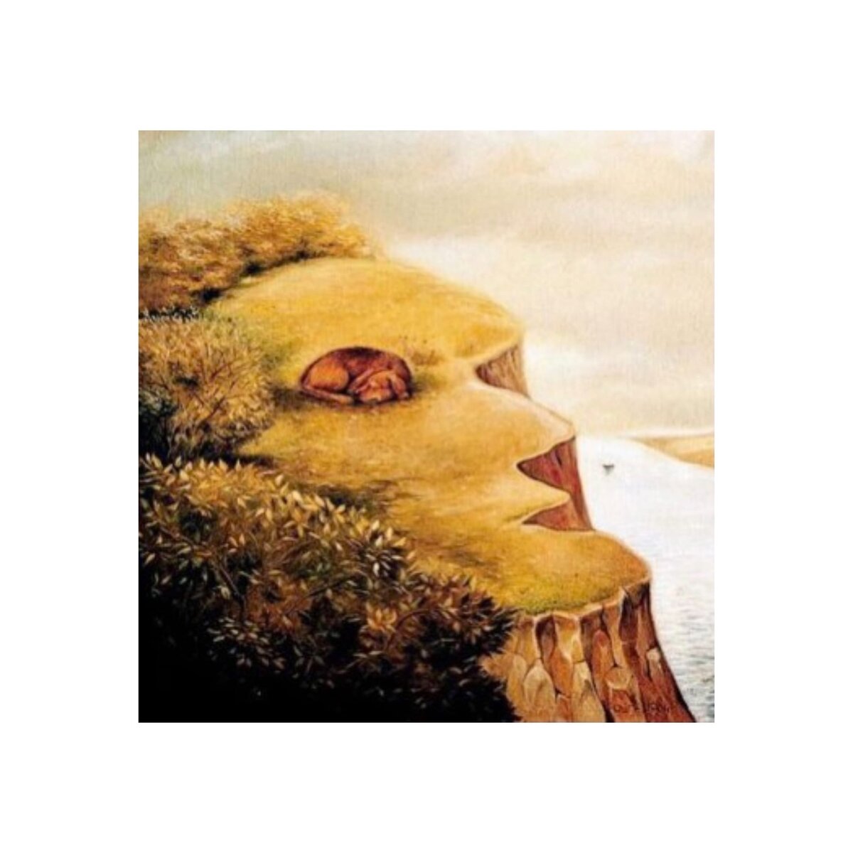 Фото с сайта https://testpokartinke.ru/. Коллаж автора