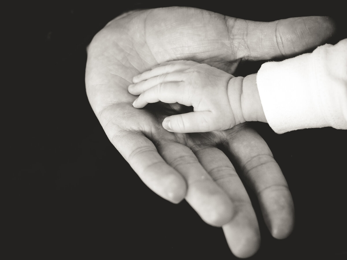 Доверьте жизнь Богу и Он её сохранит.
За фото спасибо Liane Metzler on Unsplash