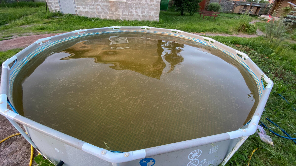 Железная вода. Цветет вода в бассейне.