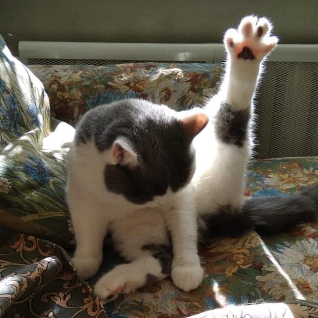 -2