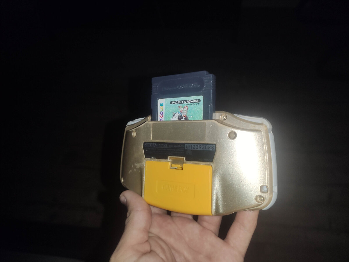 Картридж от Gameboy colour. Да, крышка не родная и отсутствует наклейка)