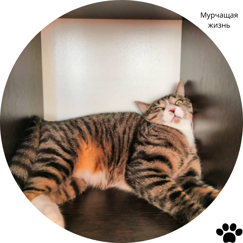 Вот тут меня точно никто не найдет!