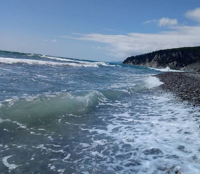 Фото: Нина Куряшкина. 