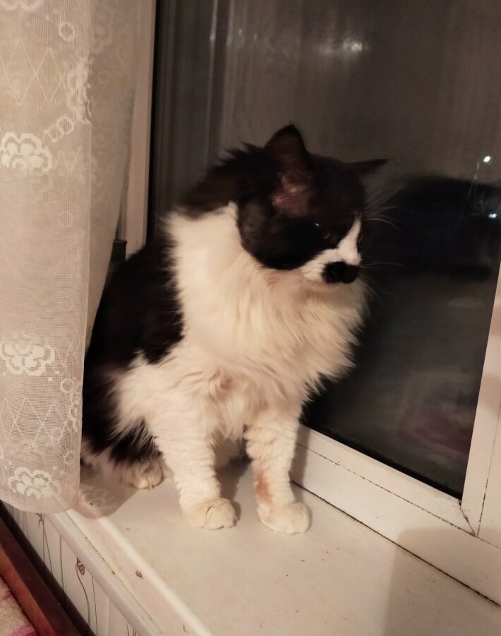 На передержке