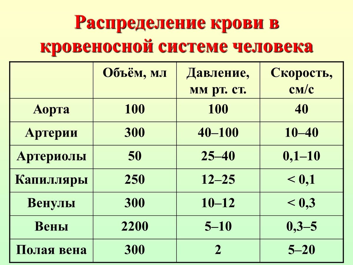 кровообращение и стоящий член фото 65