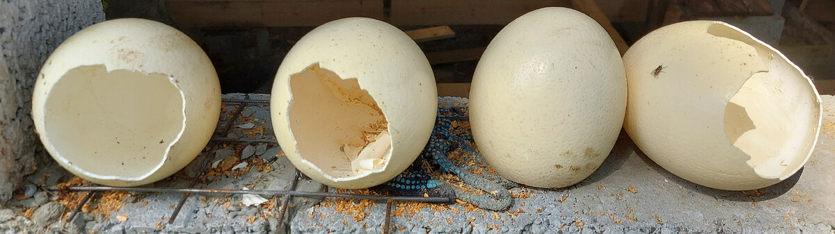 Фото из личного архива автора.