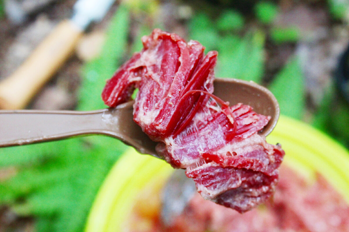 Тушеное мясо бобра. Интересно, как оно на вкус. Лесная дегустация консервов  от 