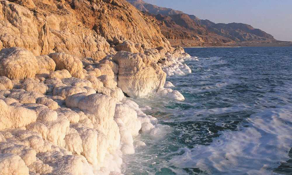 Фото взято из открытых источников 