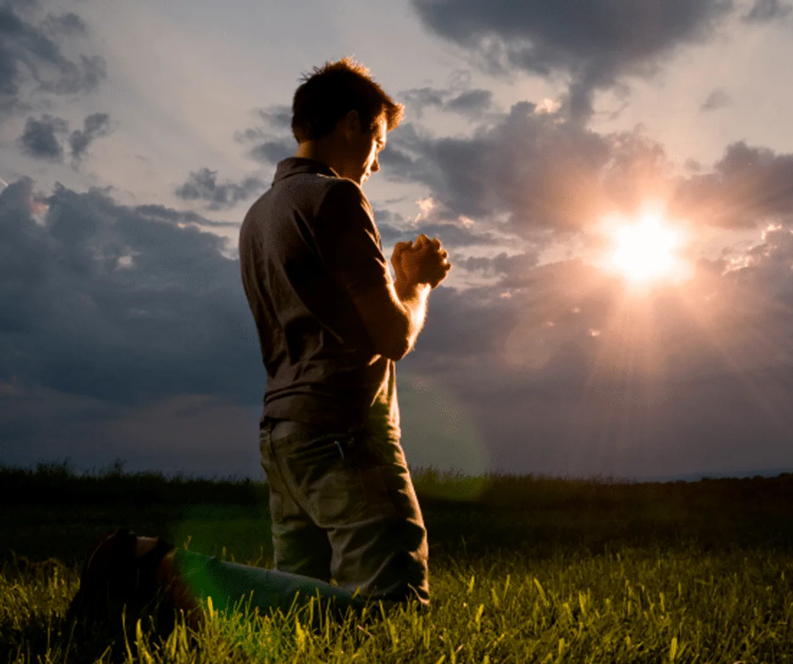 Фото взято из открытого источника интернет 