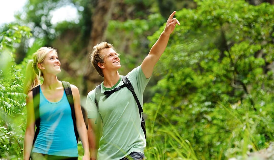 Фото из открытого источника Интернет. 