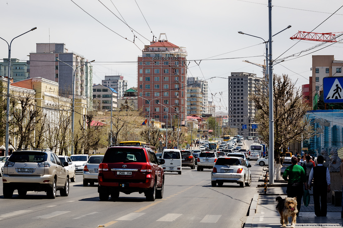 Монголия: зачем «волку» автозавод? | Евгений Трифонов | Дзен