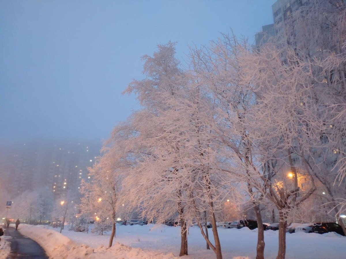 Заснеженная Москва. Фото дочери.  Утром по дороге в школу.