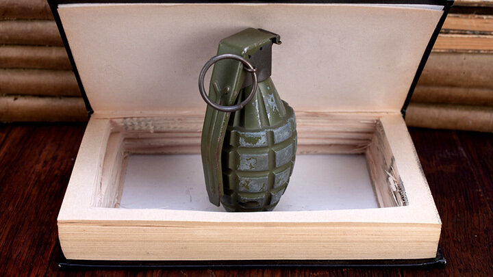 ФОТО: MILITARIST / SHUTTERSTOCK.COM 