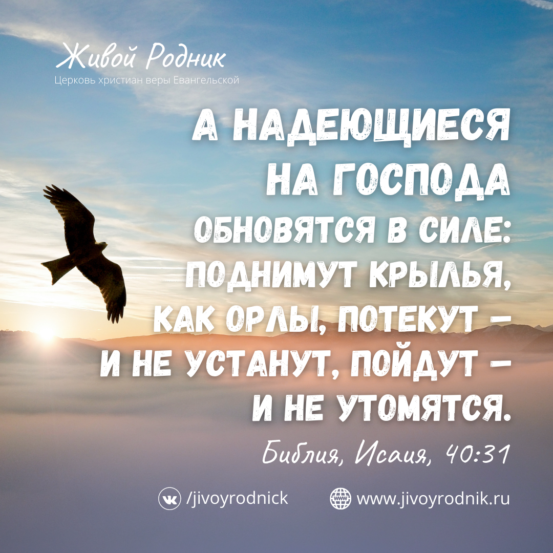 Надеющиеся на Господа обновятся в силе. Надеющиеся на Господа. А надеющиеся на Господа обновятся в силе поднимут Крылья. Надеющиеся на Господа поднимут.