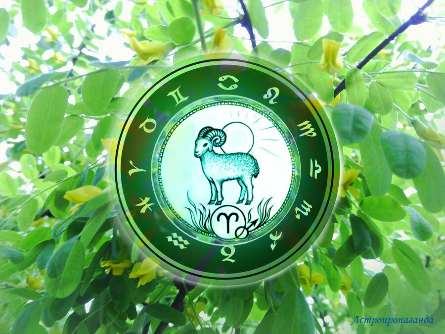 Коллаж Нины Стрелковой. 