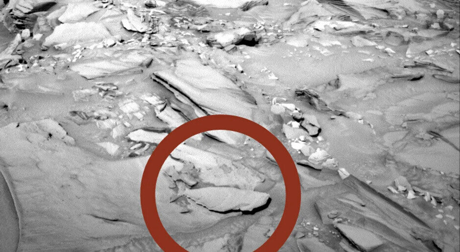    Рыба? Лицо? Женский силуэт?.. Откуда все это взялось на Марсе?