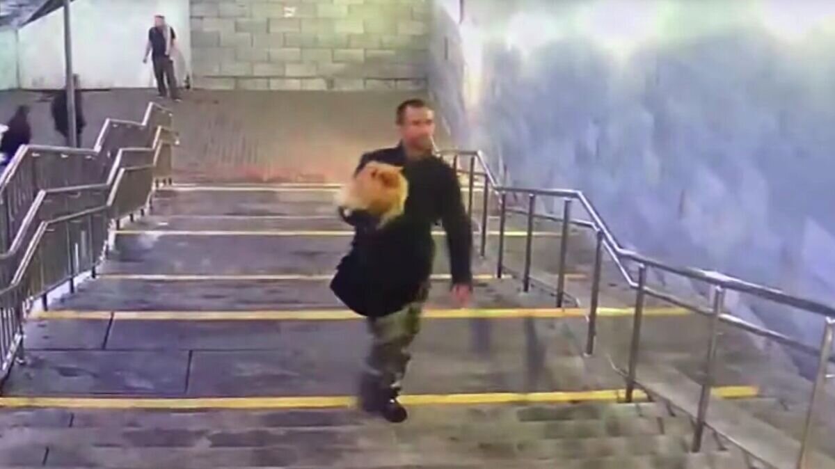    Квартирный вор с похищенной собакой. Кадр из видео© Фото : Пресс-служба ГУ МВД России по Москве