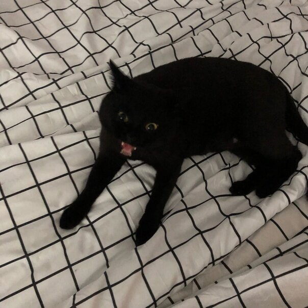 Фото: Лина Колесникова