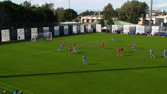 Гол Гладышева