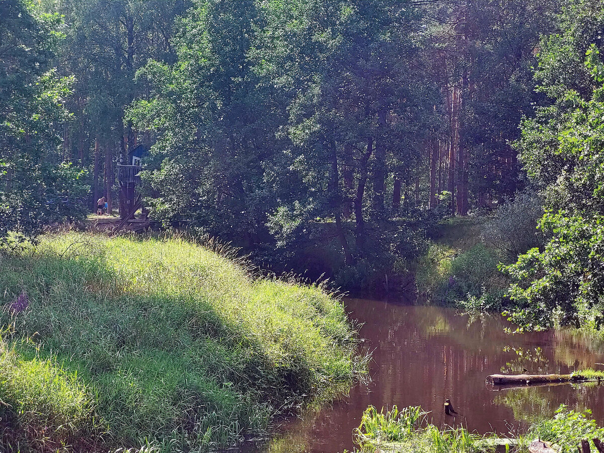 Иллюстрации к "река Нерская, river Nerskaya"