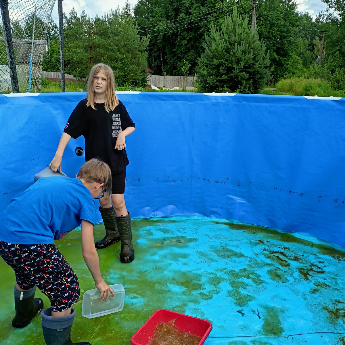 Лучший стимул мыть бассейн - желание купаться