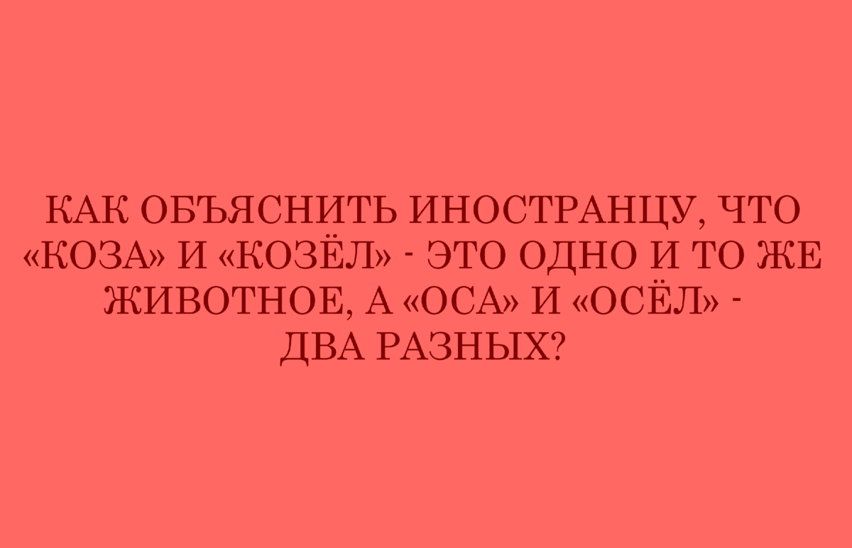 10 забавных шуток про русский язык | Русский для чайников | Дзен