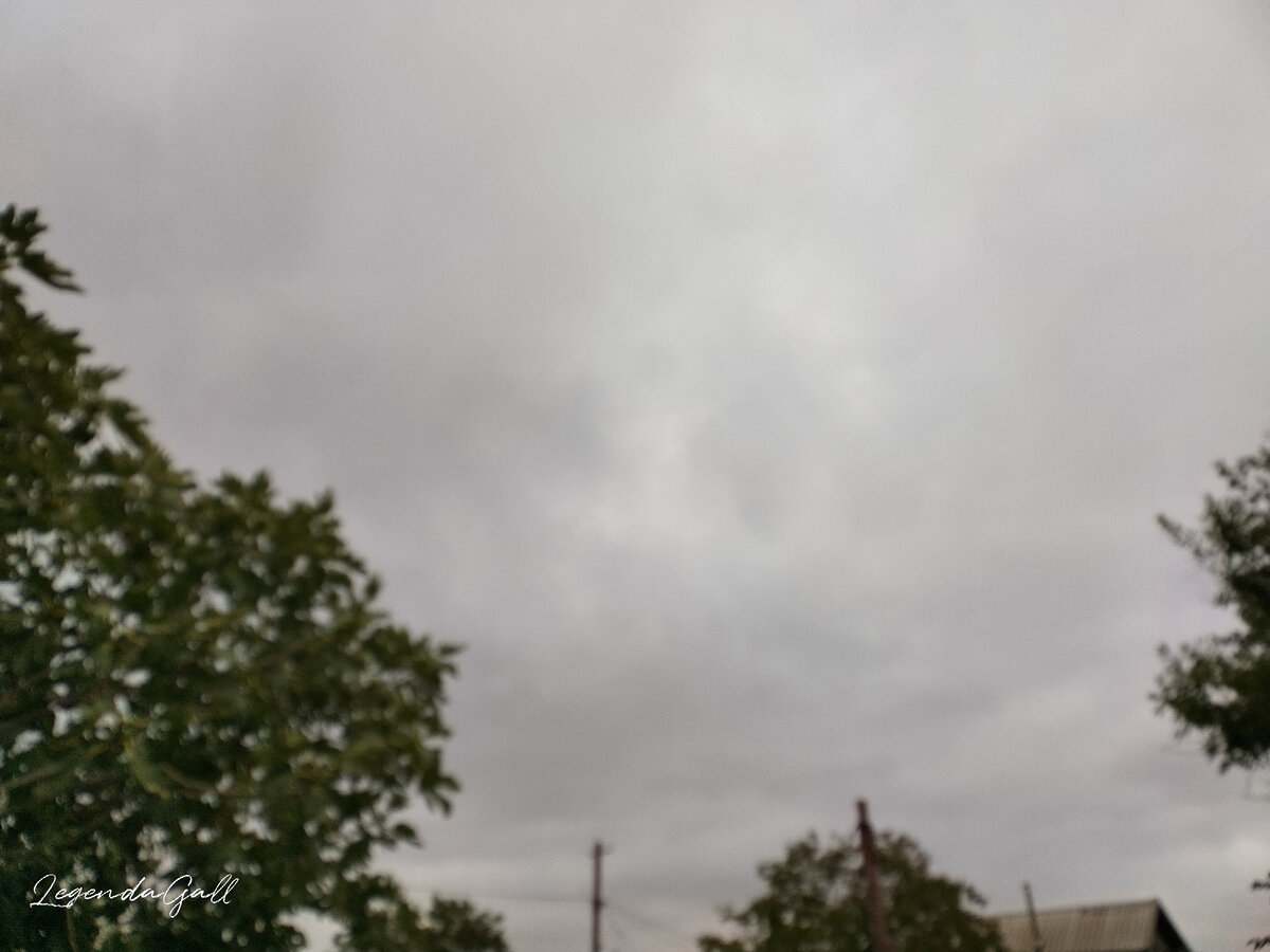 Пасмурное утро