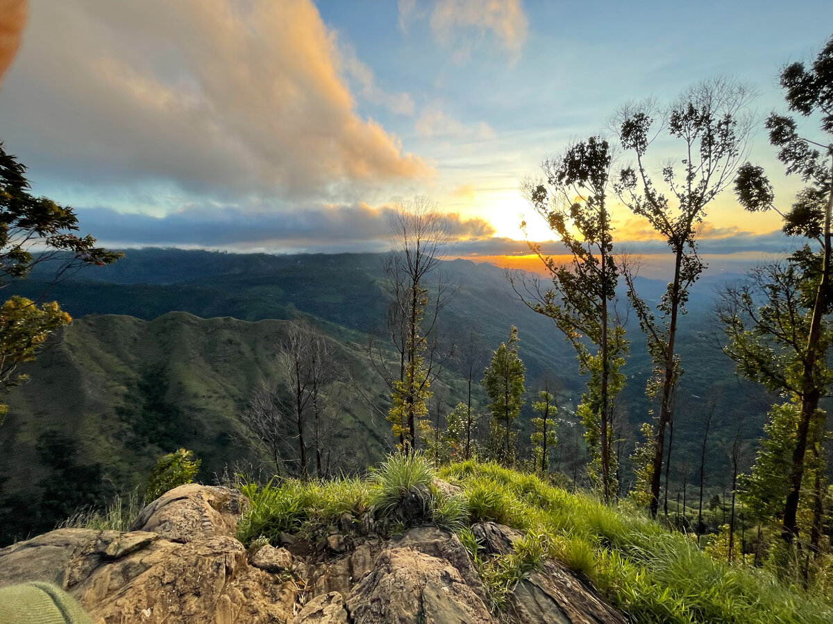 Фото автора. Ella Rock 