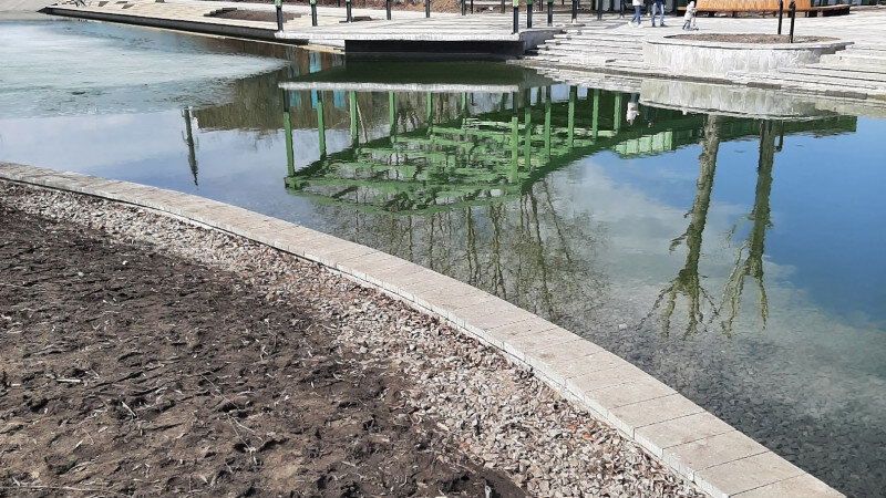     Пруд в Изумрудном парке. altapress.ru