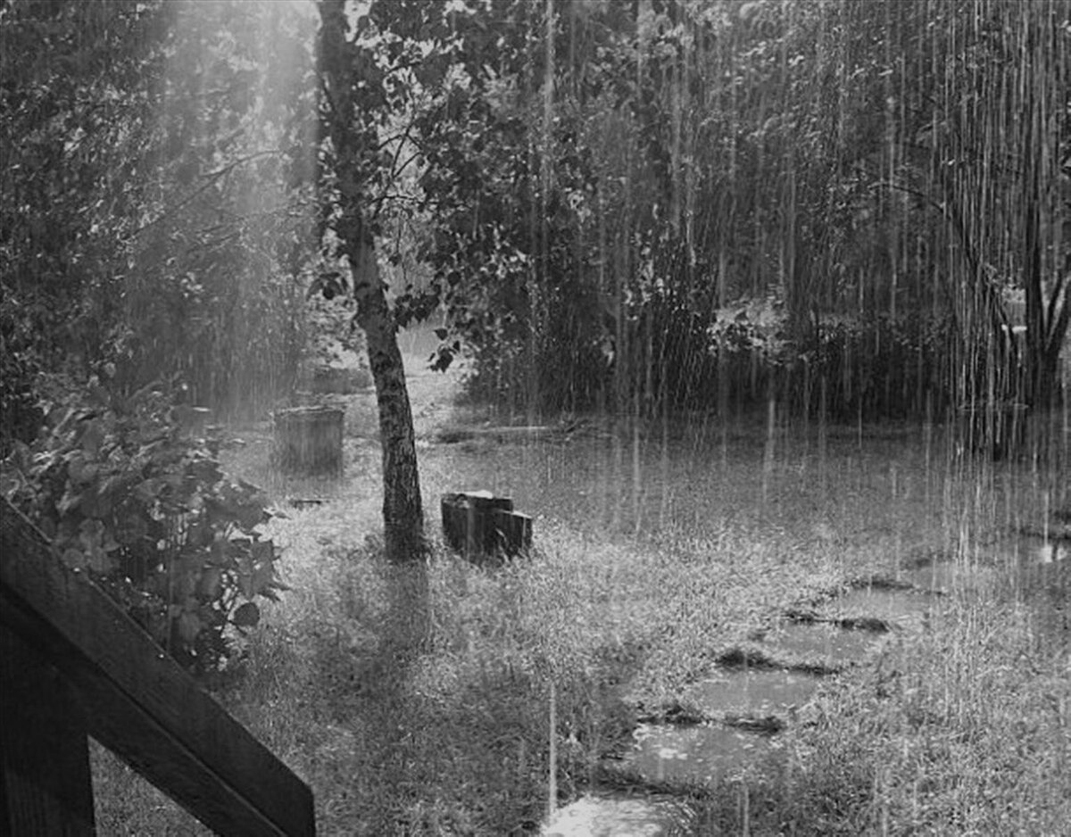 Картинка из интернета