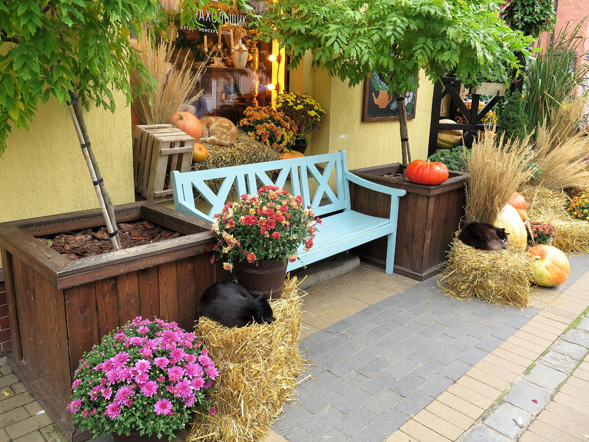 Зеленоградск. Фотографии авторские.