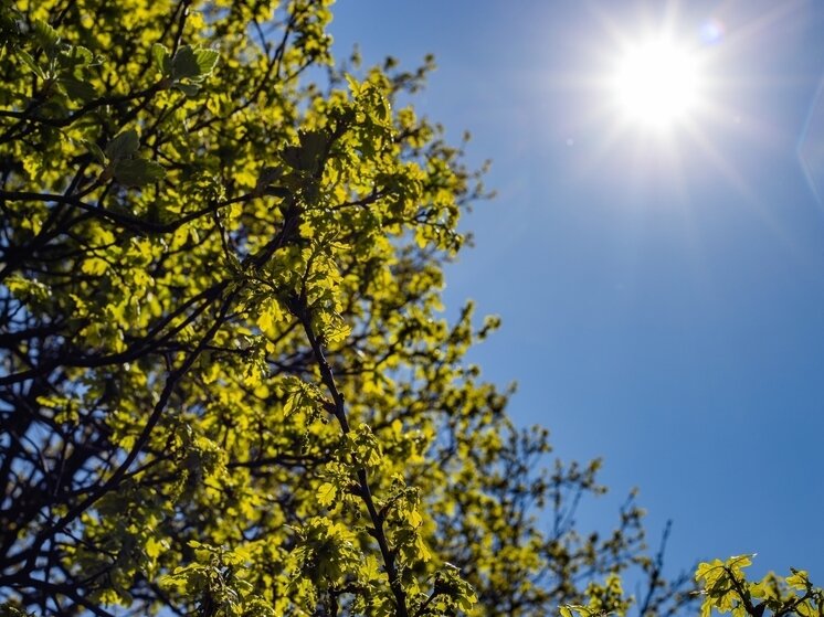     то Солнце переходит из северного полушария в южное. фото: freepik