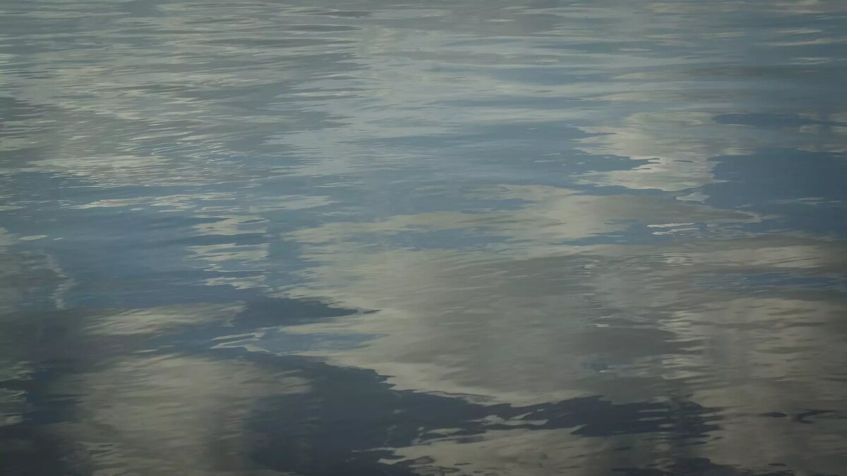     Удмуртская природоохранная прокуратура прокомментировала результаты проверок по фактам загрязнения рек Ува, Сюга и Вала.