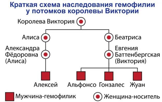 Проблемы генетической безопасности презентация 10 класс биология