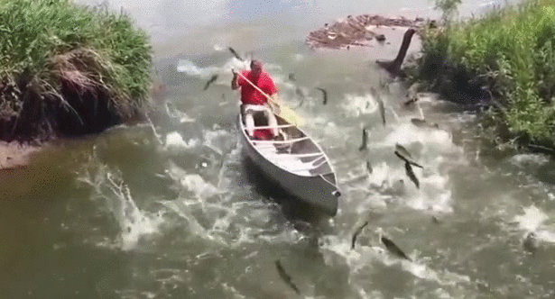 Мечта рыбака