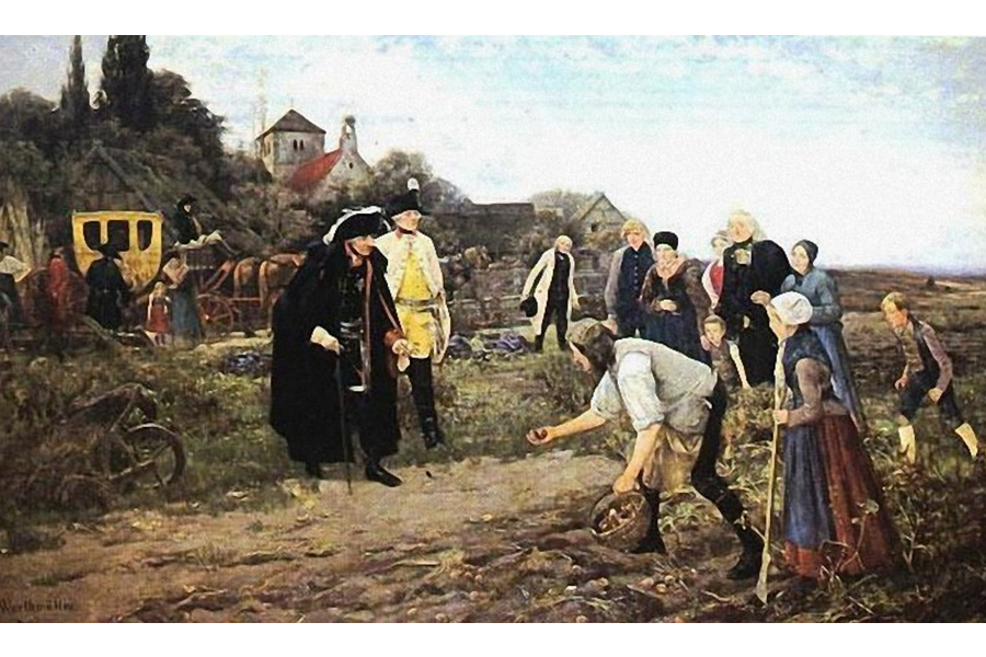 История картофеля в России | Загадочный Петербург | Дзен