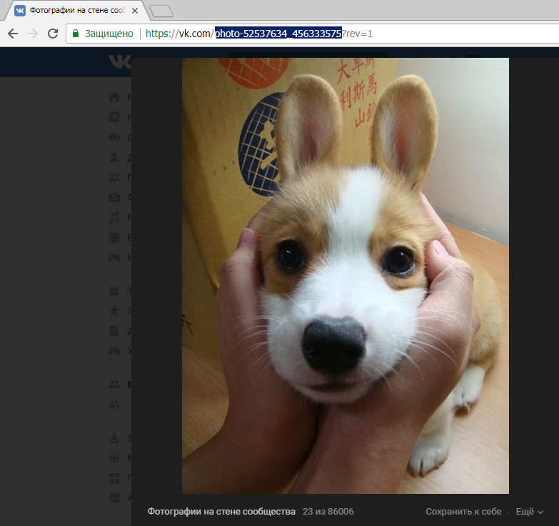 копируем ссылку с сайта