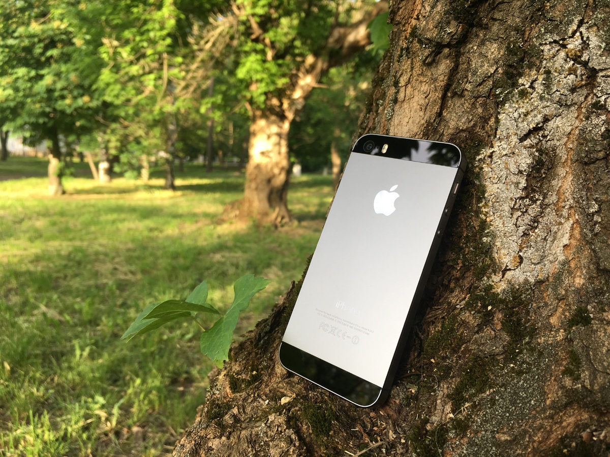                                                                               На фото iPhone 5s