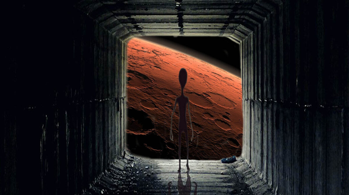 Изображение взято с сайта https://pixabay.com