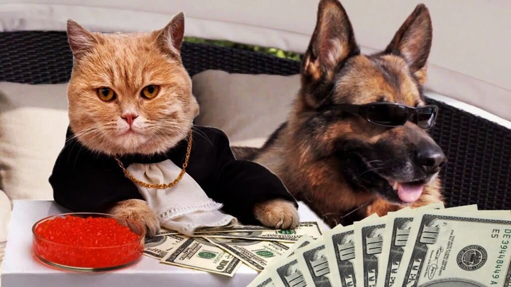 Богатые животные