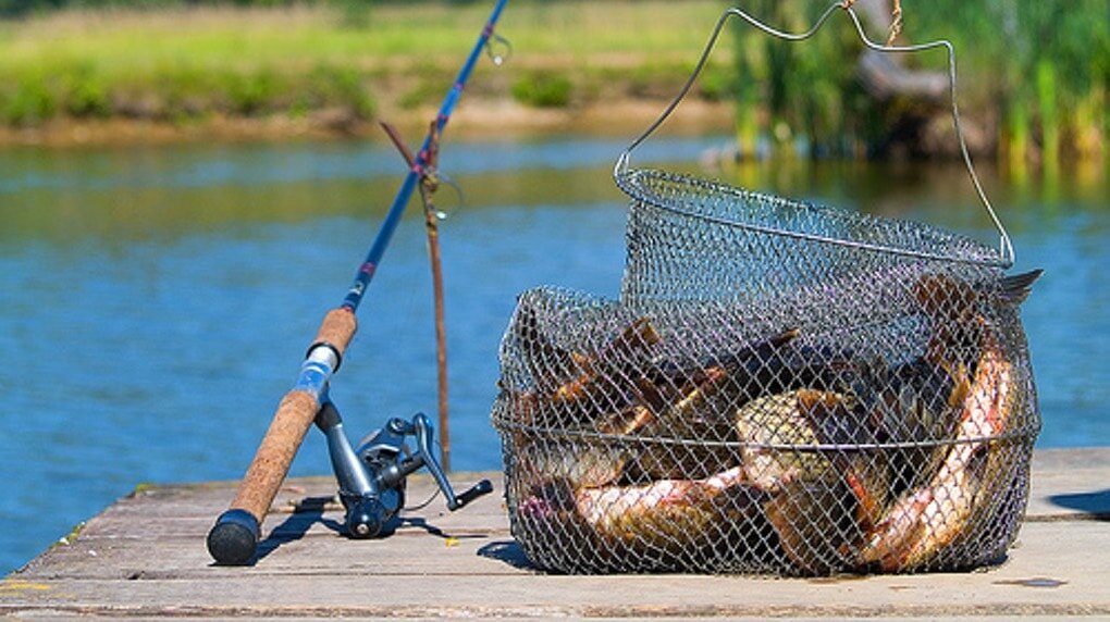 Вплоть до конца 2018 года в течение нескольких лет готовились изменения в законодательство, регулирующее сферу любительской рыбалки.