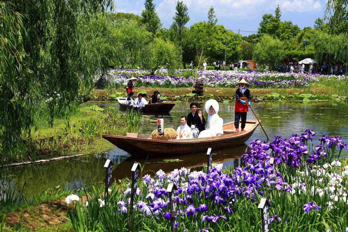 Фотография с ресурса https://lifeinjapan.ru