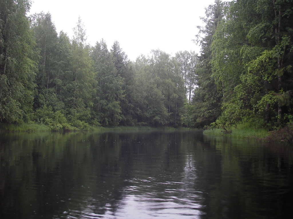 Речная 35. Кулой (река, впадает в белое море). Верховажье река Кулой. Кулой Архангельская область. Река кула Карелия.