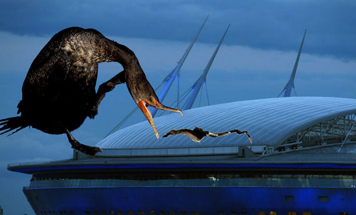 Фотография взята из открытых источников.