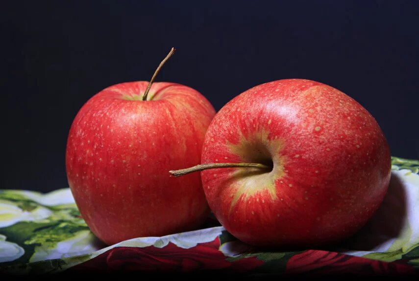 Фото: pixabay.com